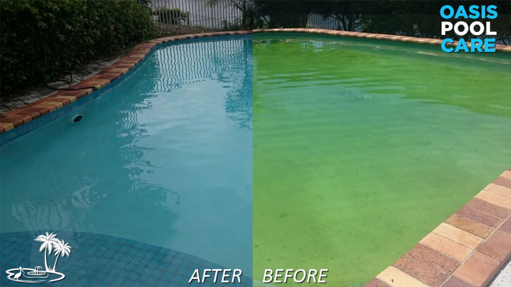 pool gone green what to do